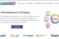 Odoo Development